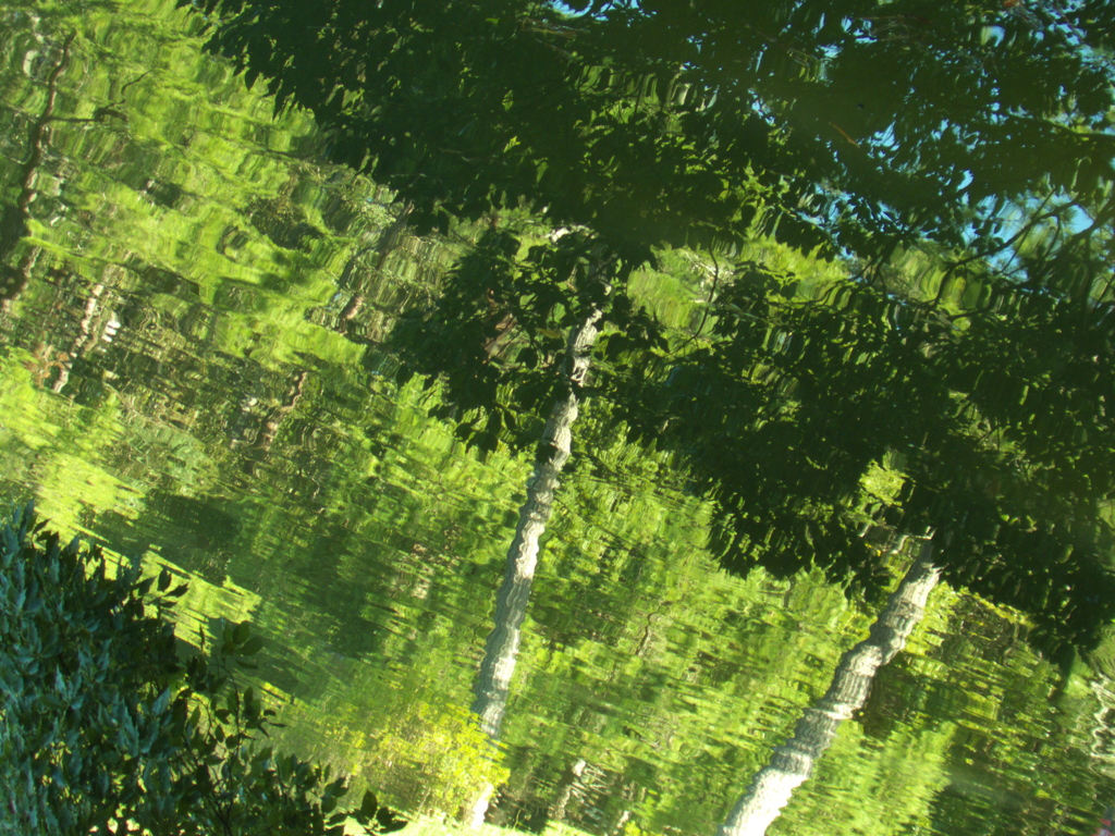 四ツ池公園4056