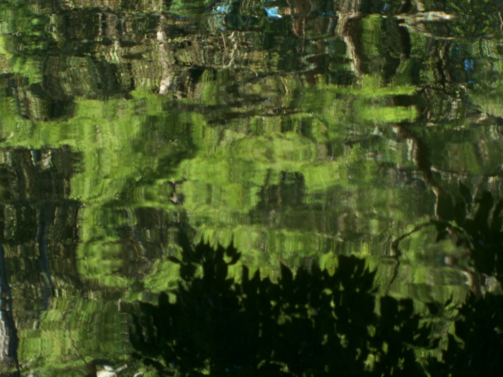 四ツ池公園4053
