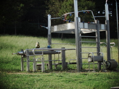 四ツ池公園4060