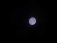 金星食201206060917