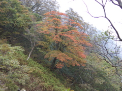 10月8日4155
