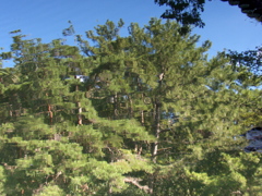 四ツ池公園4051