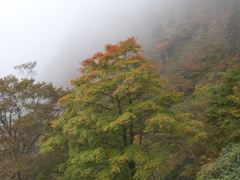 石鎚山10月8日