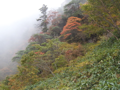 10月8日4184