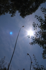 130608-52