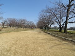 130228-102