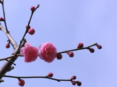 130217-53