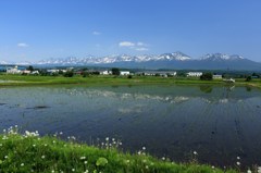 初夏を感じる風景