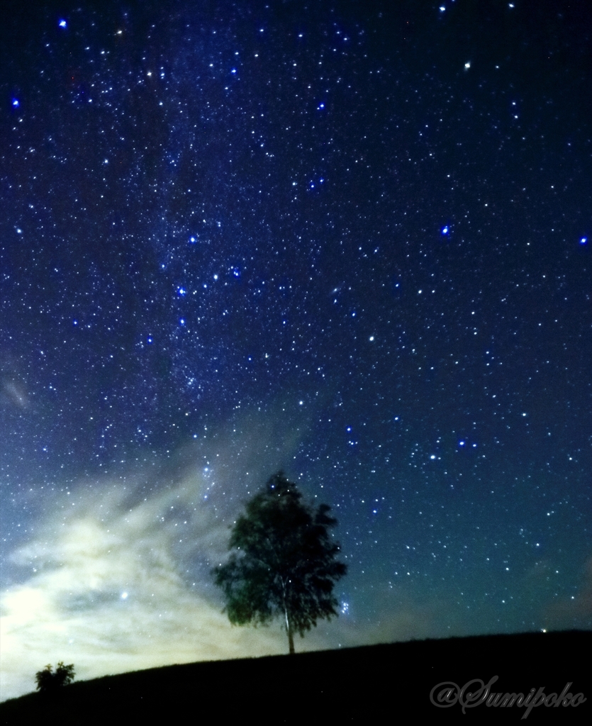 見上げてごらん夜の空 By Sumipoko Id 写真共有サイト Photohito