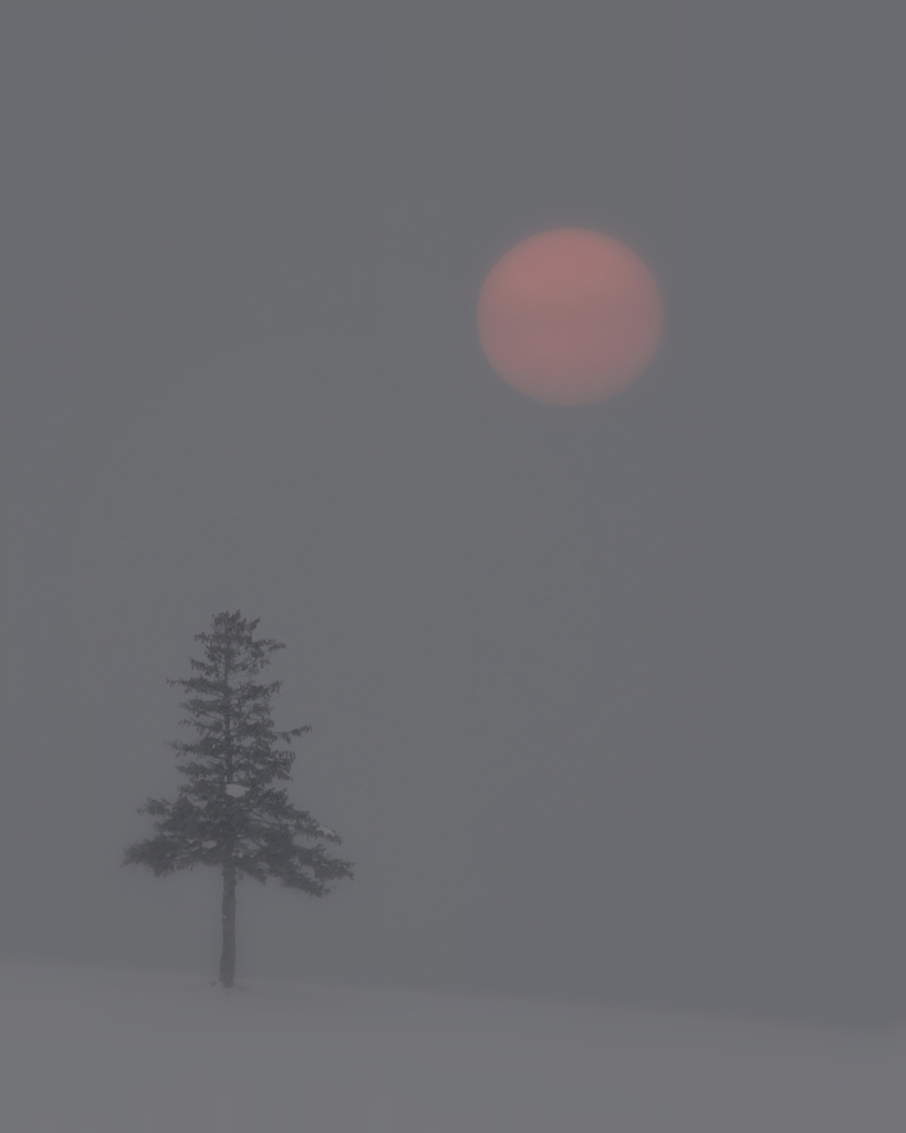 晴れ時々地吹雪