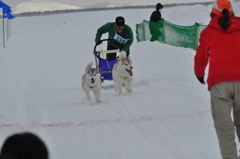 2013JAPANCUP全国犬ぞり稚内大会（13－13 画像）