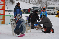 2013JAPANCUP全国犬ぞり稚内大会（13－5 画像）