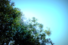 blue&green