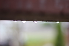 雨粒。