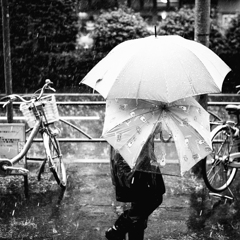 * full protection (^^): heavy rain