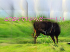 激写！！