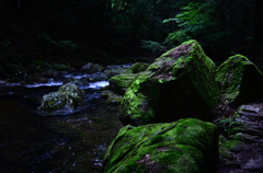 苔生す岩。