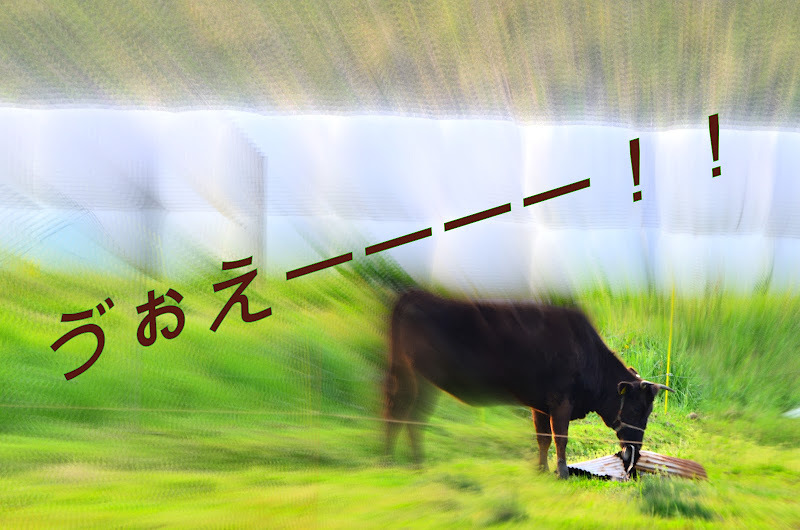 きたーーーーーーー！！