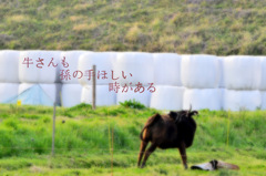 心の一句.2