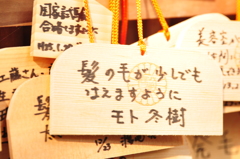 切実な祈願