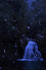 雪景色