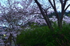 日暮れの落ち着き