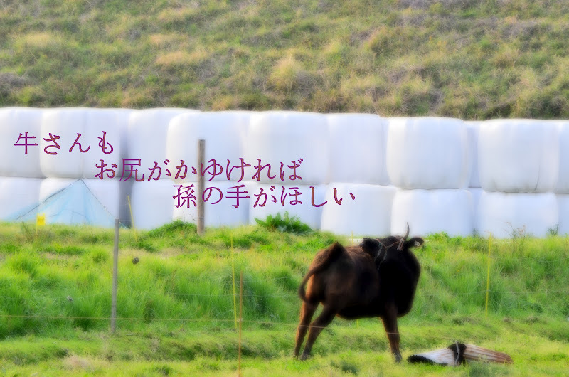 心の一句