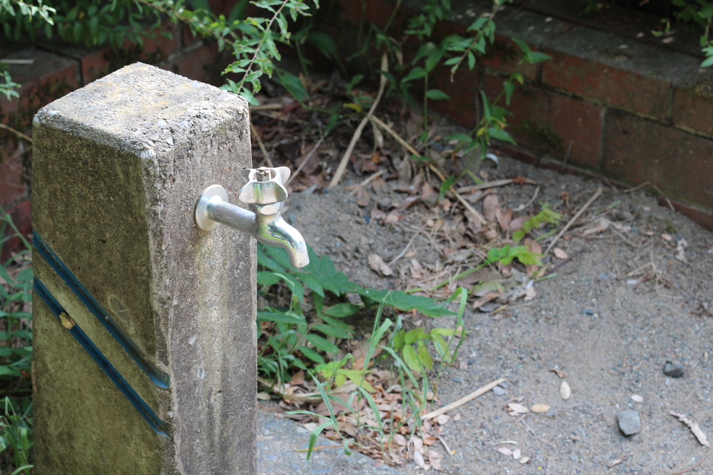 公園の水道