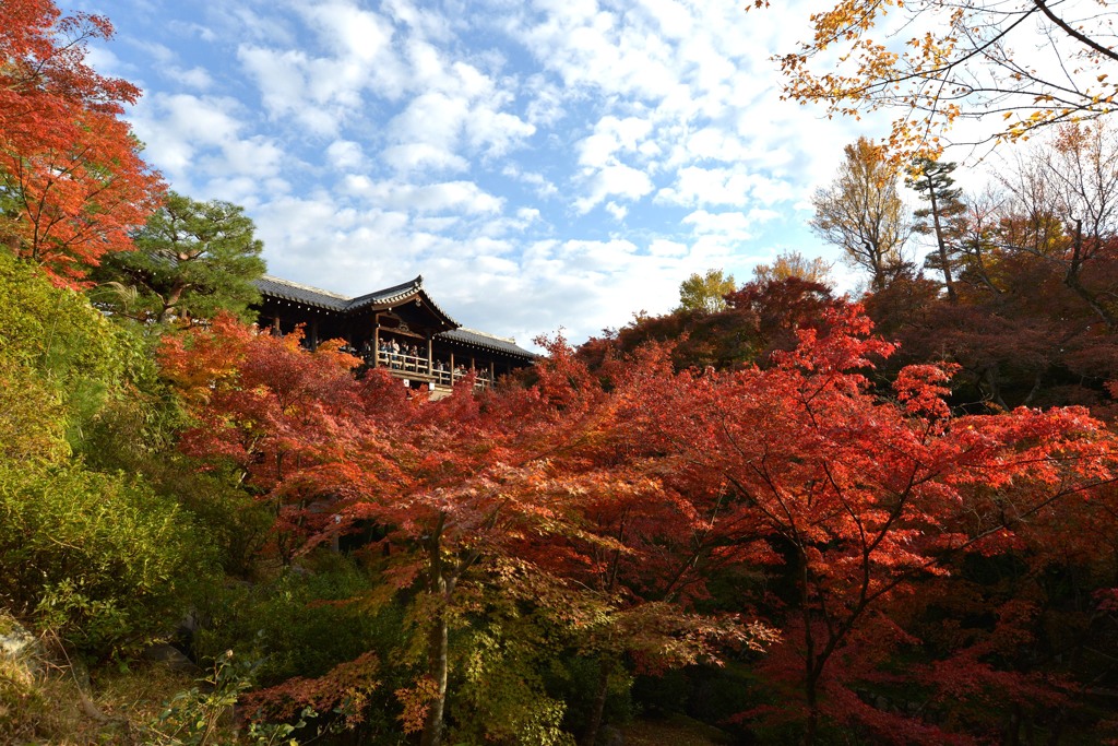 京都　東福寺通天橋