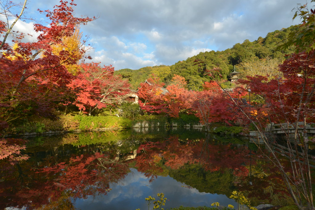 京都　永観堂