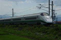 山形新幹線つばさ135号　３