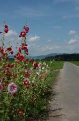 田舎道　１