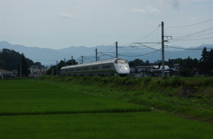 山形新幹線つばさ135号　１