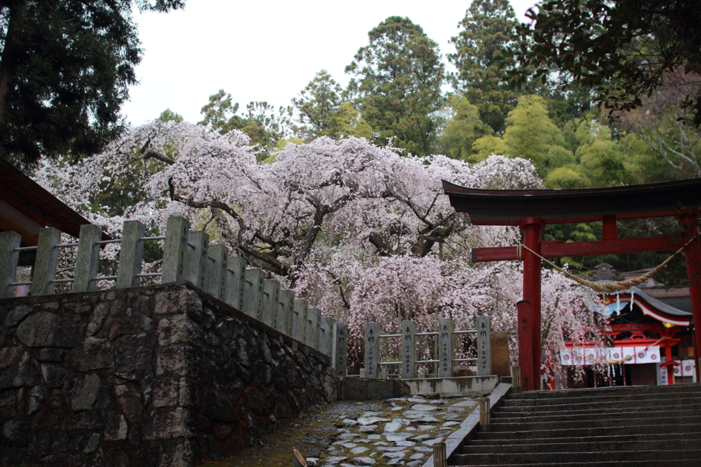 小川諏訪神社（全景）