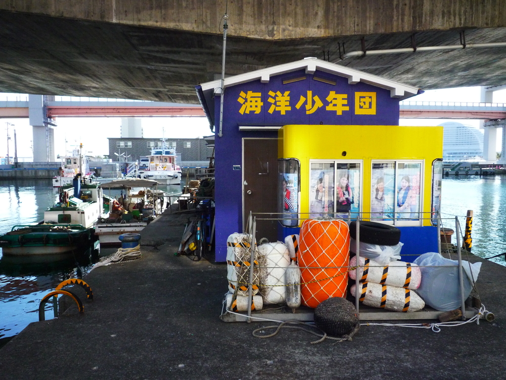 海洋少年団
