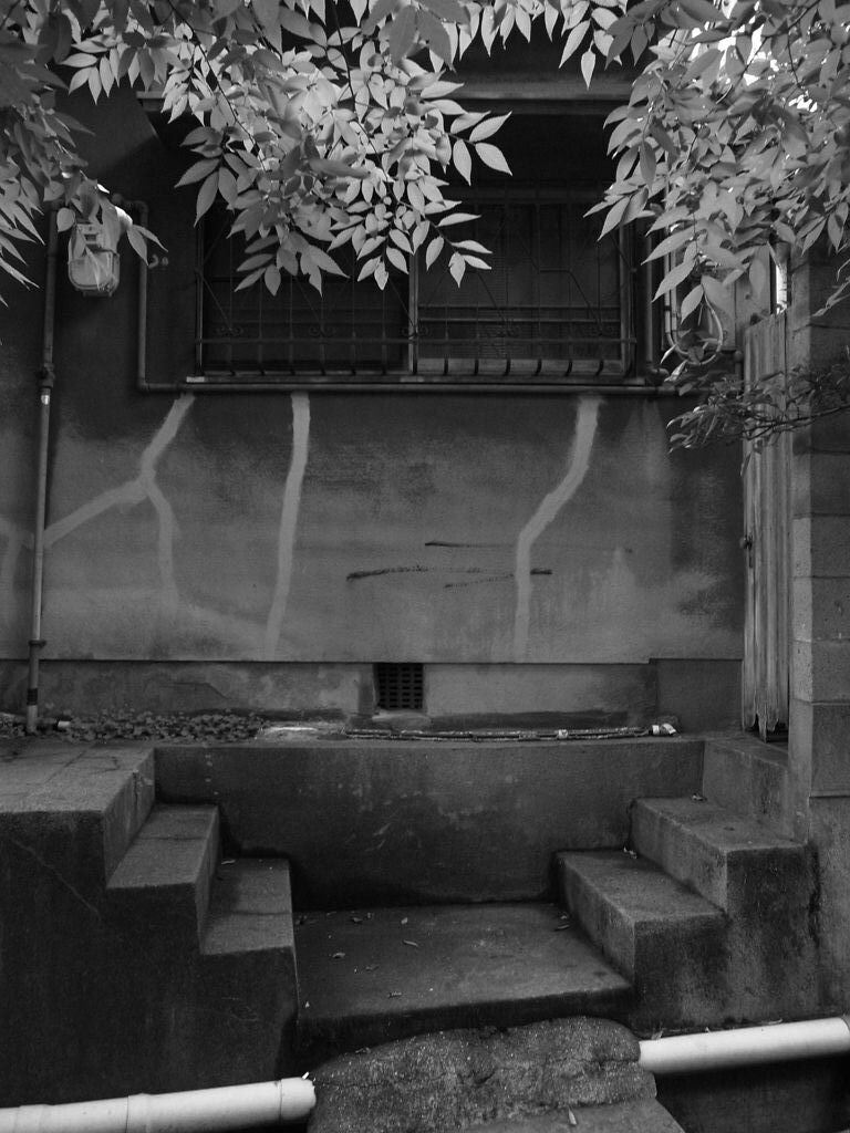 高羽の窓
