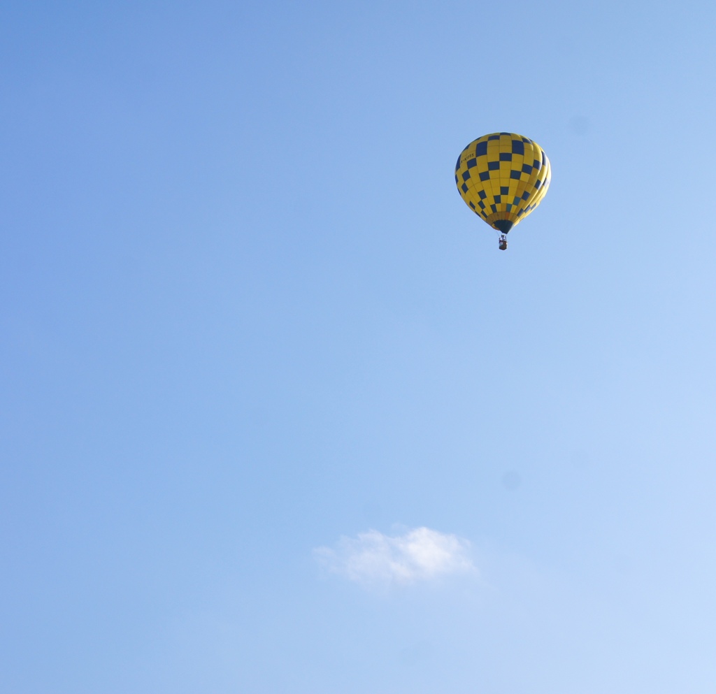 ふんわり飛行中
