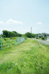 ある夏の思い出