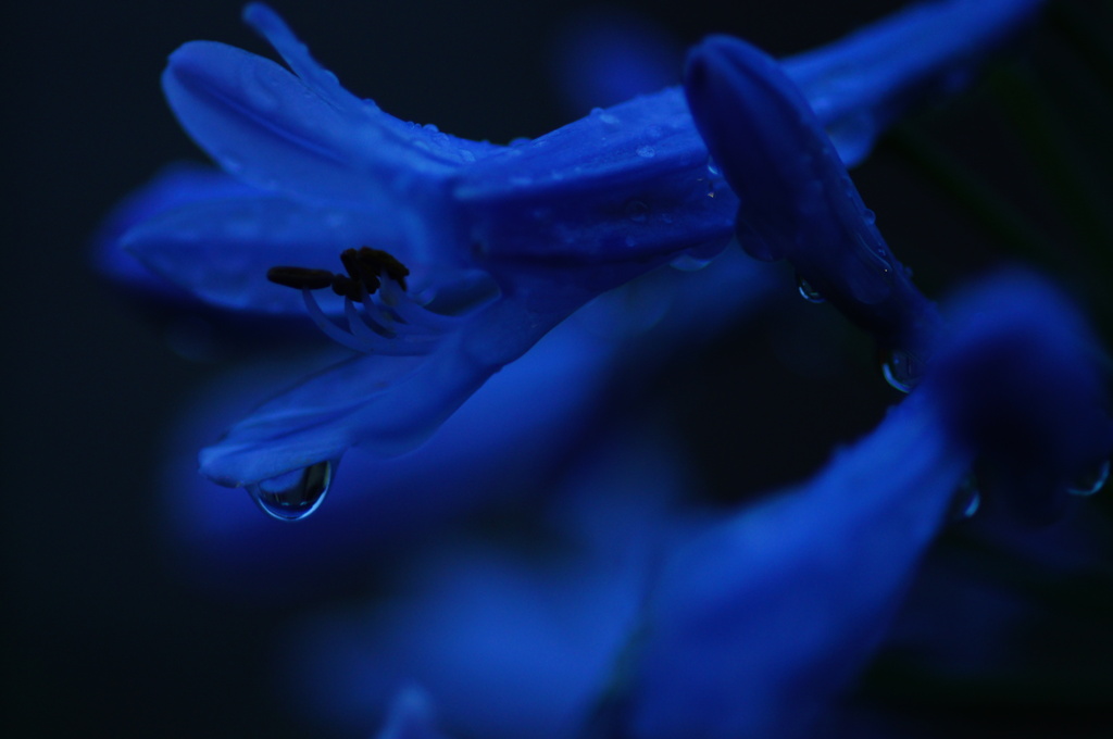 雨あがり