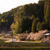 田舎の風景