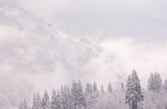 雪化粧