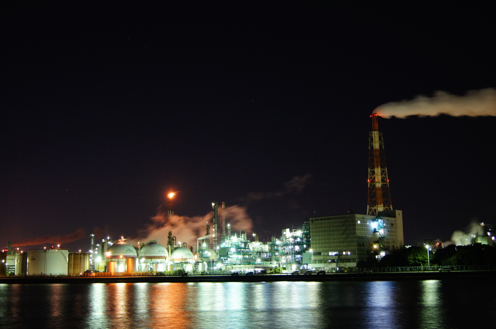 夜も忙しいなー