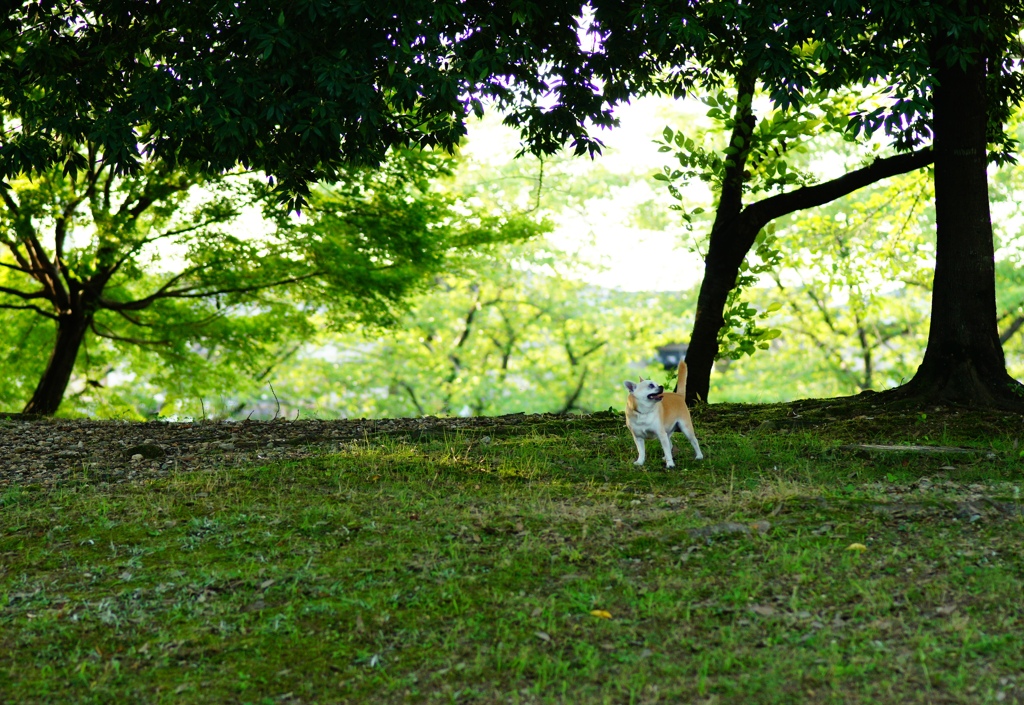 こっちでいいよね?!