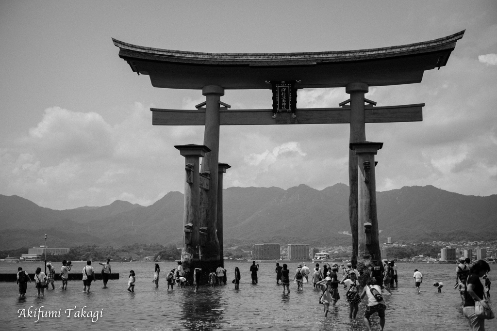 宮島大鳥居