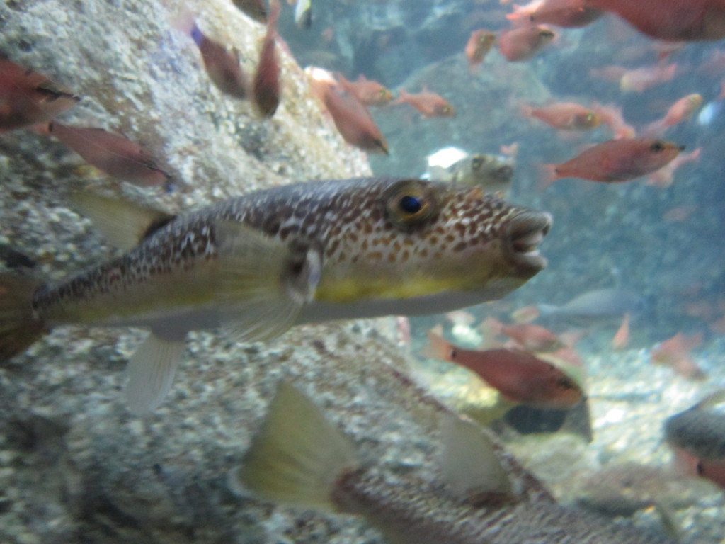 水族館