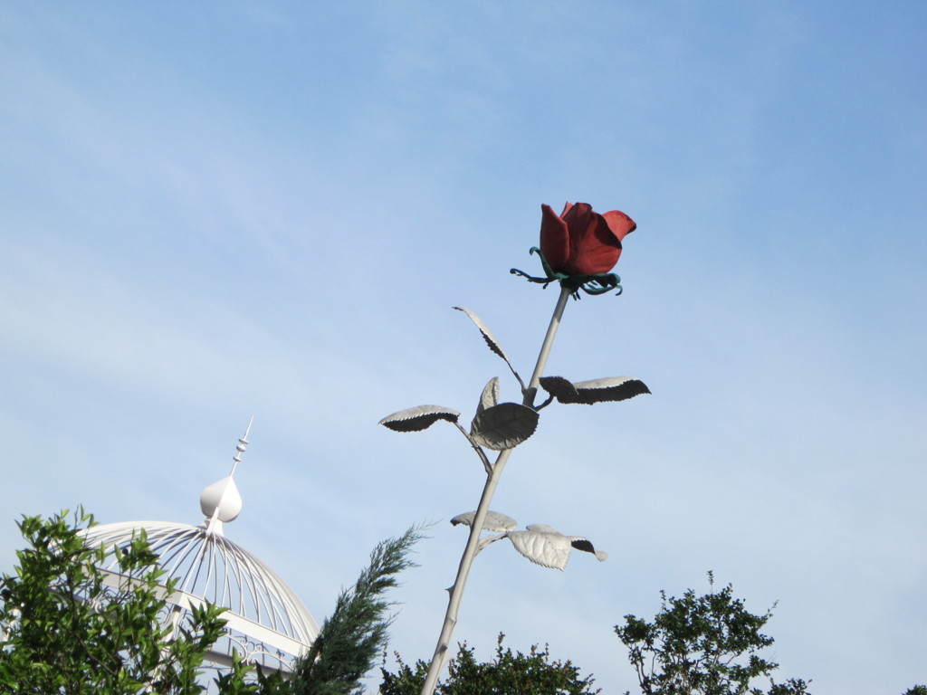 都会に咲く一輪の薔薇