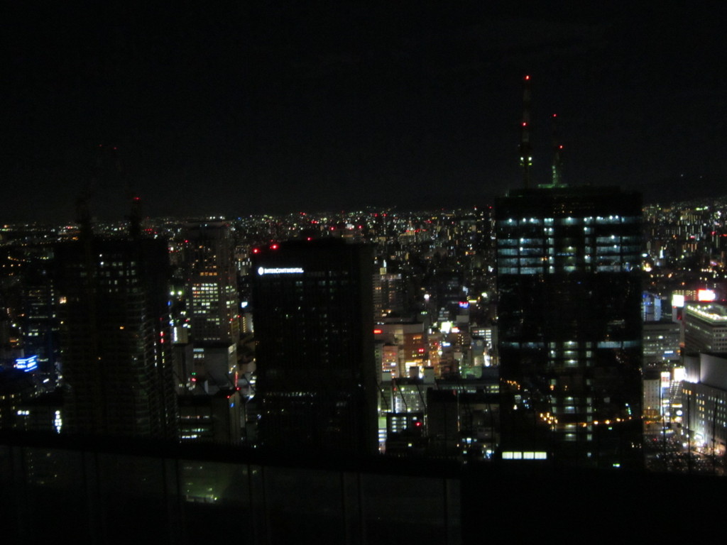 スカイタワーから