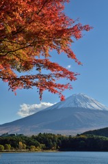 富士山を飾る真っ赤な紅葉