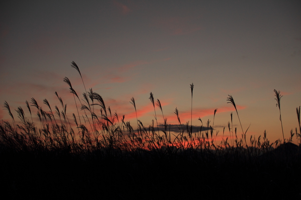 Taste of Afterglow