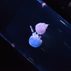 ゆっくりと一つに